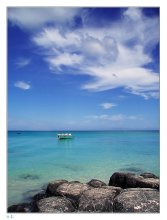 Clear day on the beach / ***