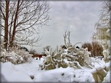 season of the gray ..2 / ***