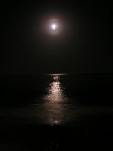 Moon Runner / ***