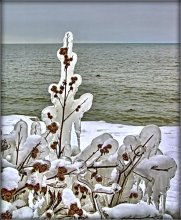 A Budza Vesna! Ca svyatam us! :) / ***