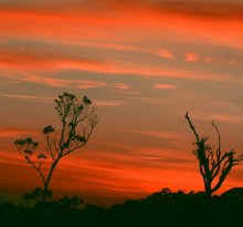 red sunrise / black on red