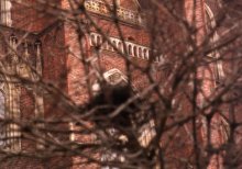 Nest / ***