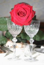 Crystal Rose / ***