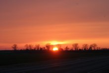 Sunset / ***