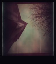 (if i lose the blues.... / orwo NC 19_exp ~91(?)