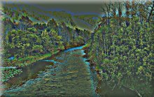 Siberian autumn / ***