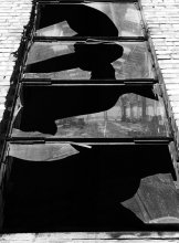 Shards of the past / ***