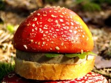 Nur auf diese Weise! Und dass Big Mac! / ***