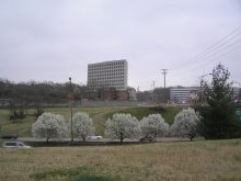 Spring is in the way / ***