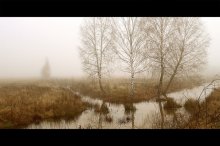 Foggy Morgen 2 / ***