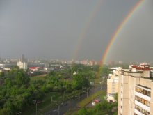 Rainbow / ***