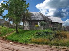 House on the hill / ***