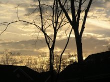 Dawn / ***