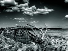 Rough country / ***