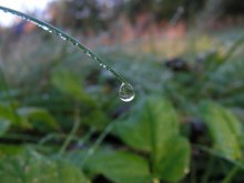 Dew point. / ***
