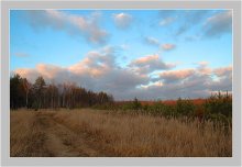 Road / ***