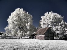 about a shed ... / ***