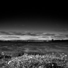 Spring / ***