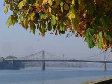 Autumn / ***