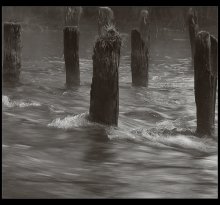 Rapids / ***