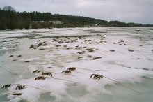 Lake Svir / ***