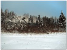 Winter / ***