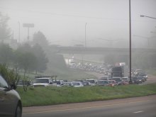 Trapped in the mist / ***