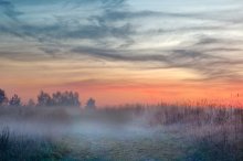 The fog comes / ***