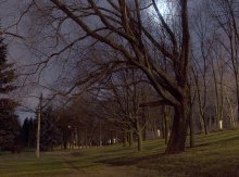 Nacht im Park / ***