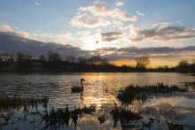 April sunset / ***