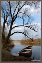 The harmony of silence / ***