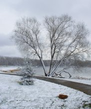 Easter whims of weather / ***