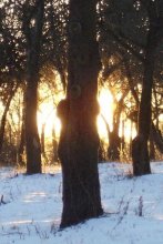 light of soul / ***