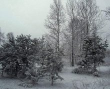 twilight / ***
