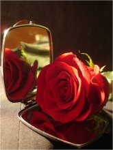 My light, mirror, tell ... / ***
