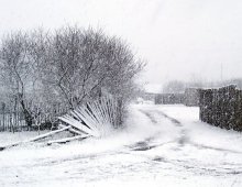 and again blizzard ... / ***