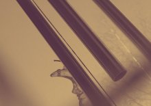 Tubular... / ***