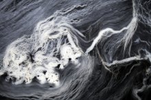 snow / ***