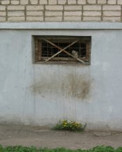 Under cover / ***