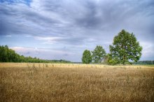 Zbozhzha / ***