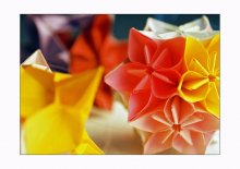 MAGIC FLOWERS / ***