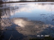 Reflection / ***