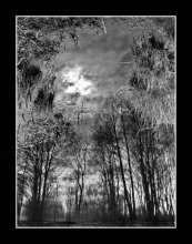 in a mysterious world / ***