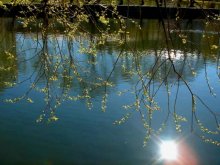the day she died Spring / ***