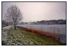 Nesvig / ***
