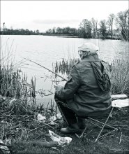 the fish, the main process itself ... / ***