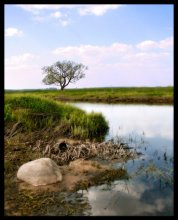 NATURE / ***