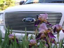 Casaccia and Ford / ***
