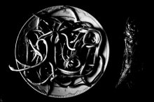 noodles &amp; fish / ***