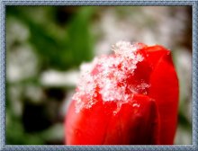 heart beneath the ice / ***